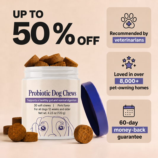 Daily Probiotic Chews – Gut & Digestive Health
