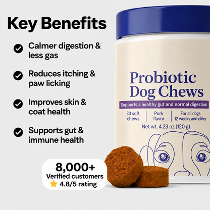 Daily Probiotic Chews – Gut & Digestive Health